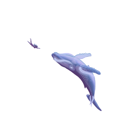 Let's dive right in.